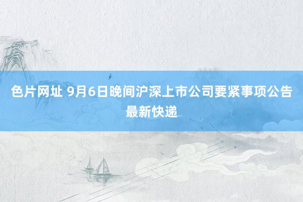 色片网址 9月6日晚间沪深上市公司要紧事项公告最新快递