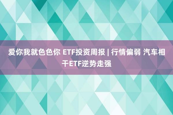 爱你我就色色你 ETF投资周报 | 行情偏弱 汽车相干ETF逆势走强