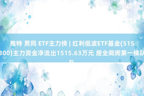 推特 男同 ETF主力榜 | 红利低波ETF基金(515300)主力资金净流出1515.63万元 居全阛阓第一梯队