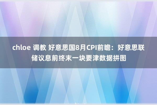 chloe 调教 好意思国8月CPI前瞻：好意思联储议息前终末一块要津数据拼图