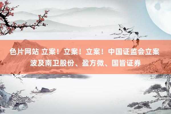 色片网站 立案！立案！立案！中国证监会立案 波及南卫股份、盈方微、国皆证券