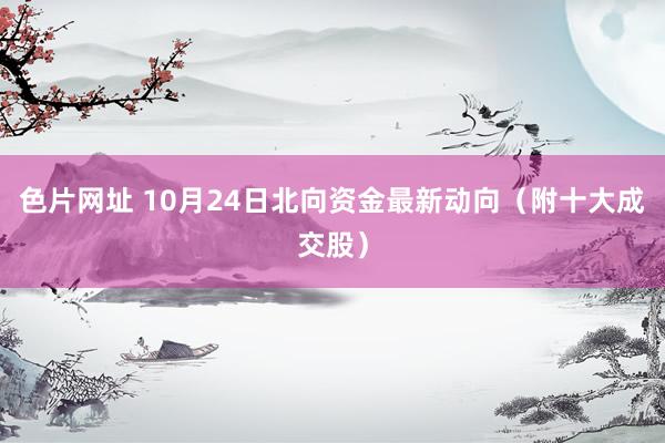 色片网址 10月24日北向资金最新动向（附十大成交股）