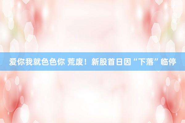 爱你我就色色你 荒废！新股首日因“下落”临停
