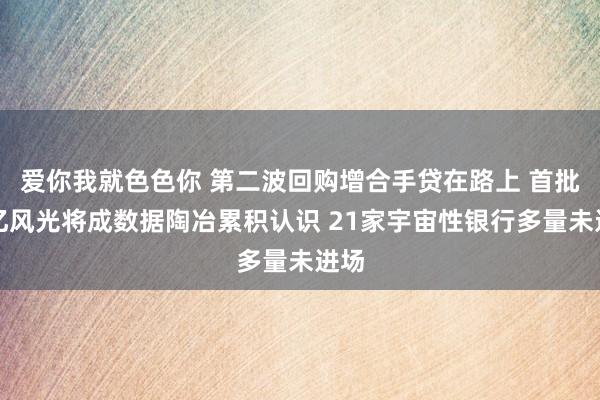 爱你我就色色你 第二波回购增合手贷在路上 首批百亿风光将成数据陶冶累积认识 21家宇宙性银行多量未进场
