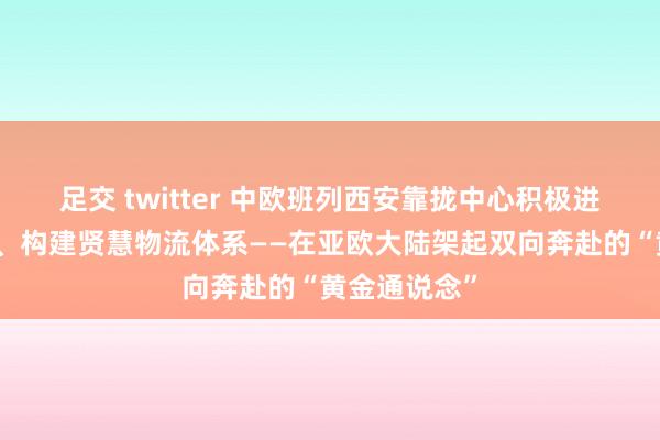足交 twitter 中欧班列西安靠拢中心积极进步开动质效、构建贤慧物流体系——在亚欧大陆架起双向奔赴的“黄金通说念”