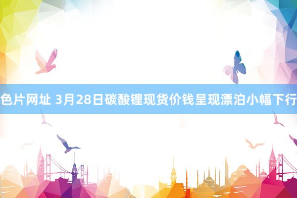 色片网址 3月28日碳酸锂现货价钱呈现漂泊小幅下行